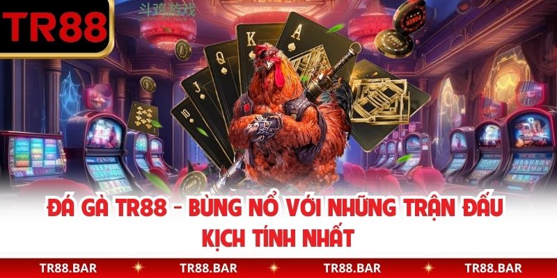 Đá Gà TR88 - Bùng Nổ Với Những Trận Đấu Kịch Tính Nhất