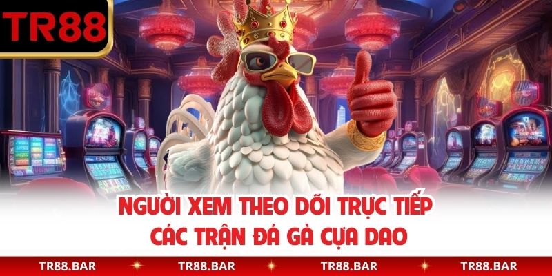 Người xem theo dõi trực tiếp các trận đá gà cựa dao